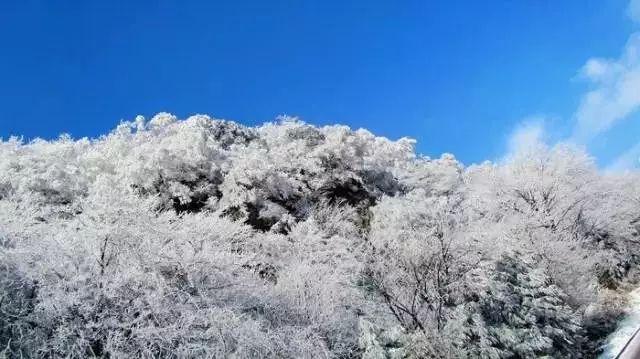 海滩棚屋逃生