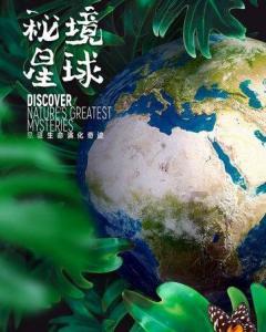 探索神秘房间