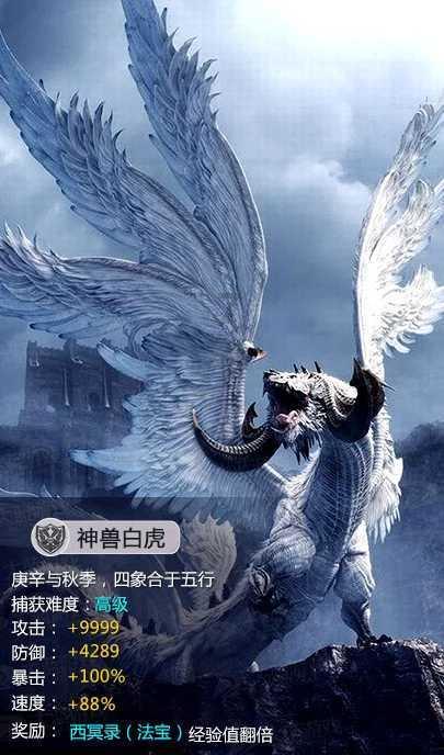 探讨生活问题,尽在走路快与走路慢的人,谁更长寿?