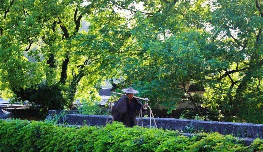 既要精准打击集资犯罪 也要持续加强合规治理