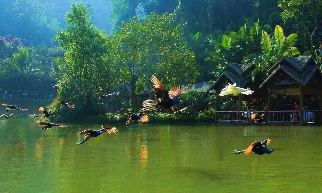 月光影视