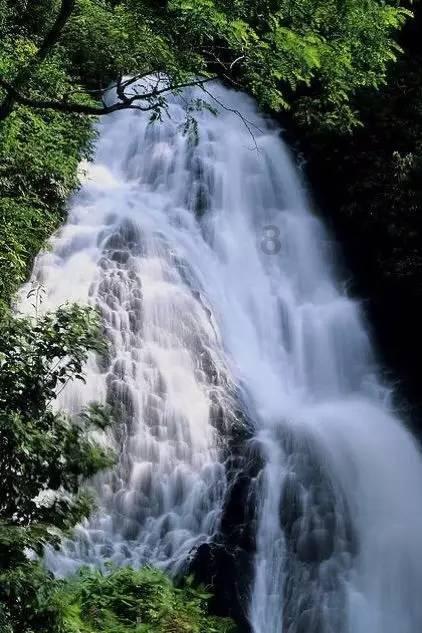 逍遥觅仙
