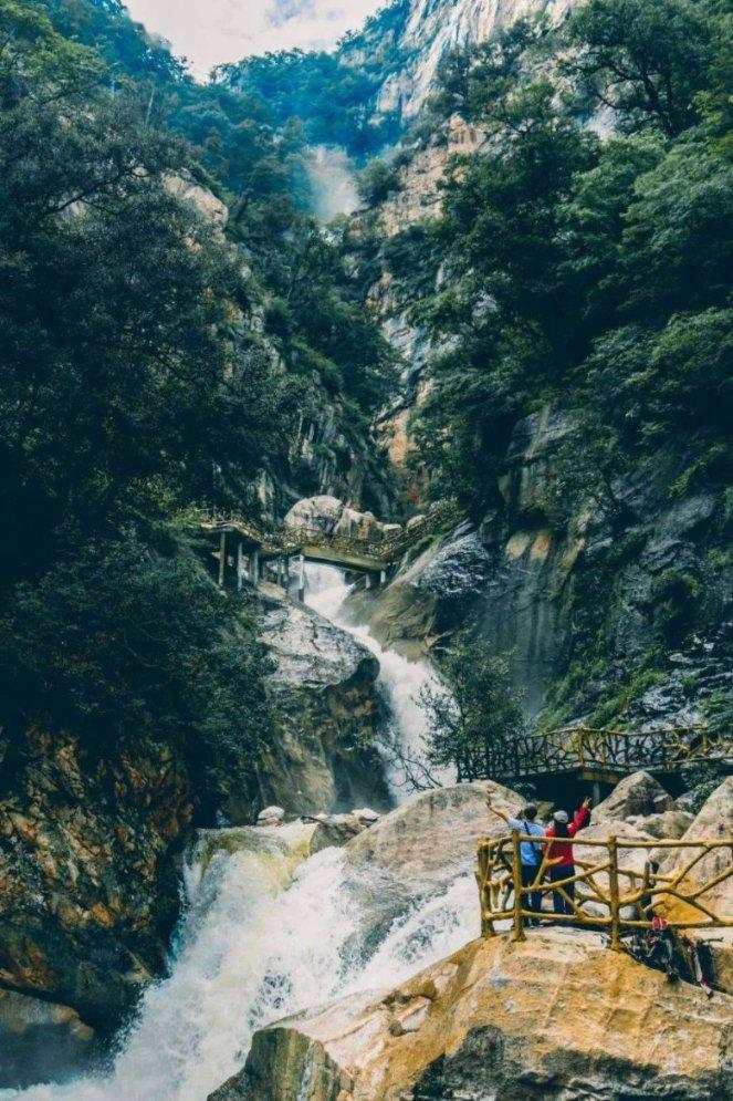 芳草百味 | 茯苓和土茯苓,竟是两种药材?