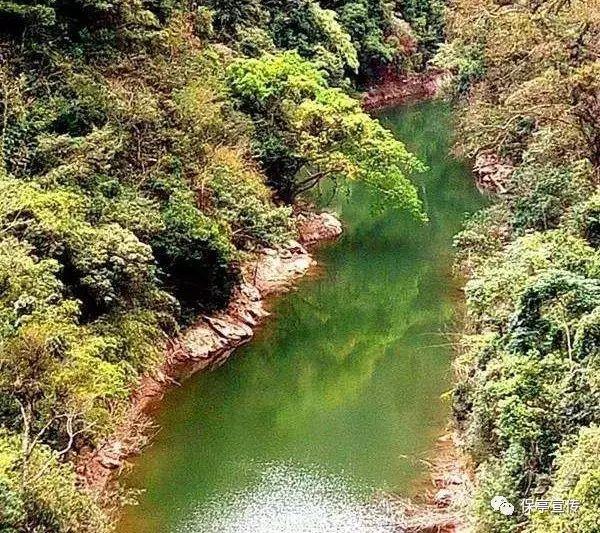 密室之错语因果