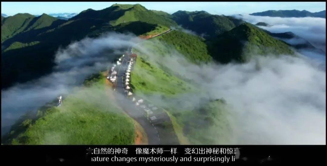 双人坦克世界3D