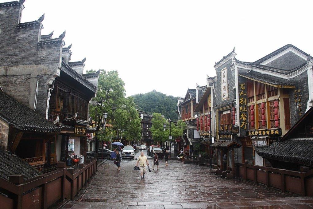 逃离仿真森林