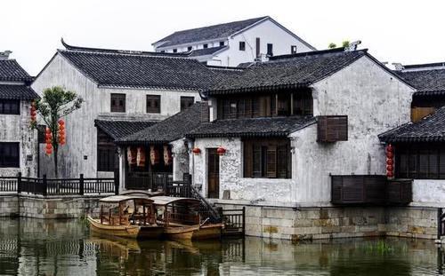 星海湾海域斑海豹跟随冬泳爱好者在海里同游 专家:斑海豹有追逐尾随的习性