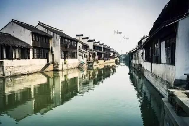 白孔雀救援