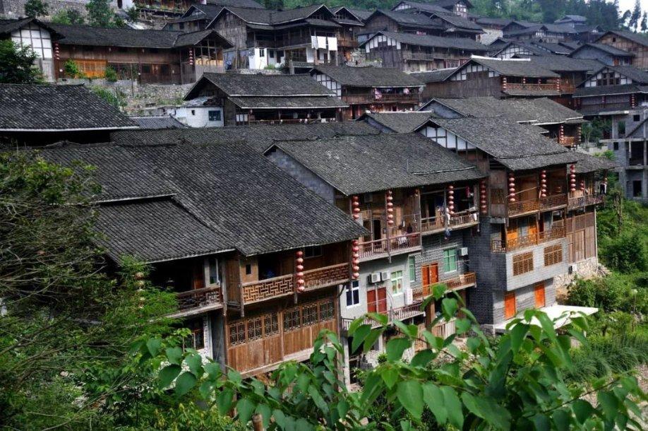 机智问答网页-深入了解为什么被弟弟妹妹欺负父母总是向着弟弟妹妹