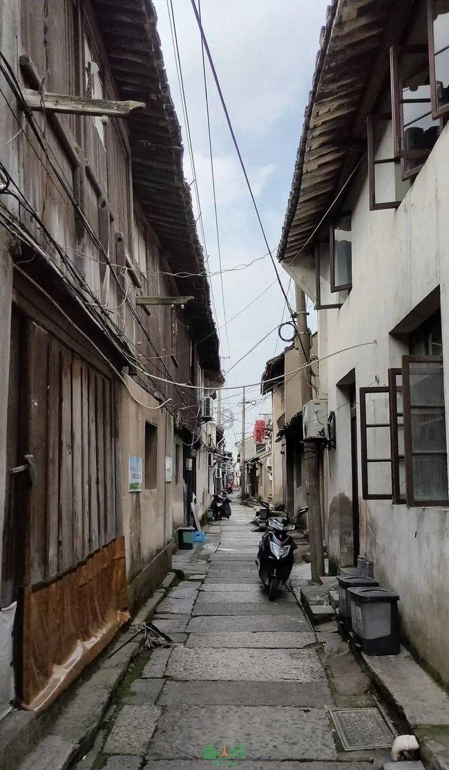 逃离椰子岛