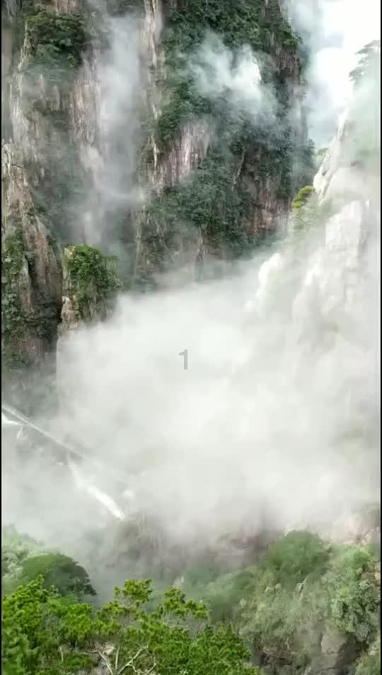 蜂王救援